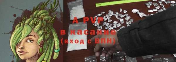 экстази Белокуриха